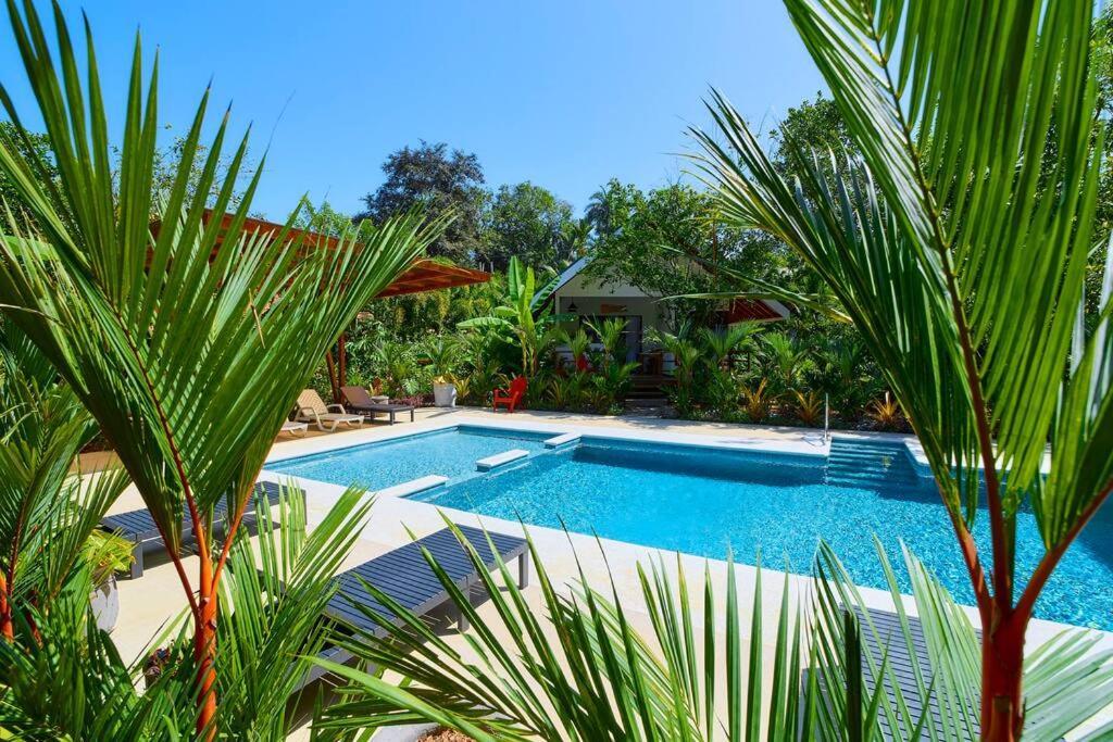 Casa Kristel - Exquisite Villa Getaway Puerto Viejo de Talamanca Ngoại thất bức ảnh
