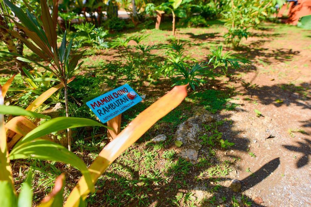 Casa Kristel - Exquisite Villa Getaway Puerto Viejo de Talamanca Ngoại thất bức ảnh